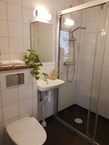 SmålandsstenarSmålandsstenar hotell的带淋浴、盥洗盆和卫生间的浴室