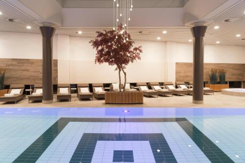 阿姆斯特丹大仓酒店 - 世界一流酒店内部或周边的泳池