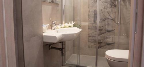 里米尼桑德拉酒店的一间带水槽、淋浴和卫生间的浴室