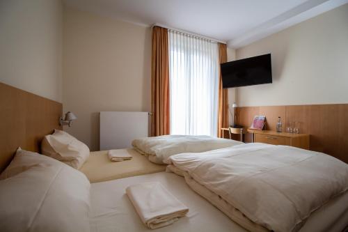 曼海姆Hotel Goldene Gans的酒店客房设有两张床和一台平面电视。