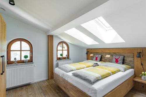 阿布特瑙达奇斯坦糟贝尔公寓 的一间卧室配有一张带天窗的大床