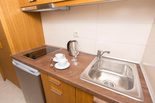 尼基季La Casa di Giorgio Greco的厨房柜台设有水槽和水槽