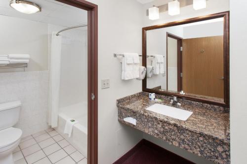 Iowa FallsAmericInn by Wyndham Iowa Falls的一间带水槽、卫生间和镜子的浴室
