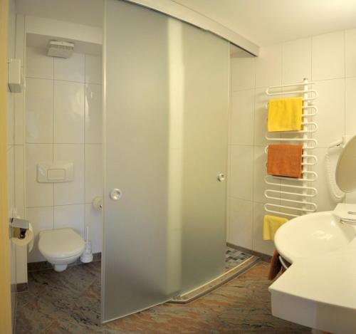 斯拉德明斯瓦契哈维酒店的带淋浴、卫生间和盥洗盆的浴室
