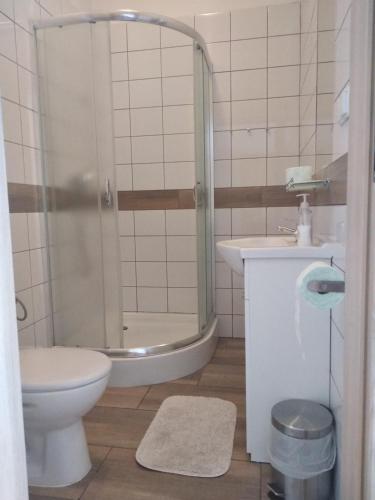 普翁斯克Swojski Klimat的带淋浴、卫生间和盥洗盆的浴室