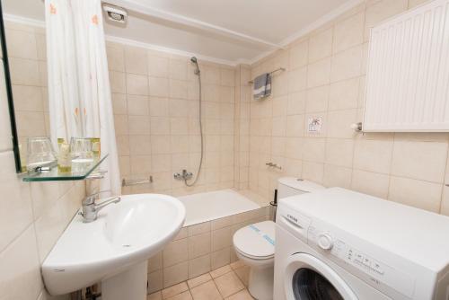 米蒂利尼鸡血石公寓酒店的一间带水槽和洗衣机的浴室。