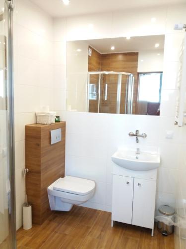 哈伊努夫卡Apartament的一间带卫生间和水槽的浴室