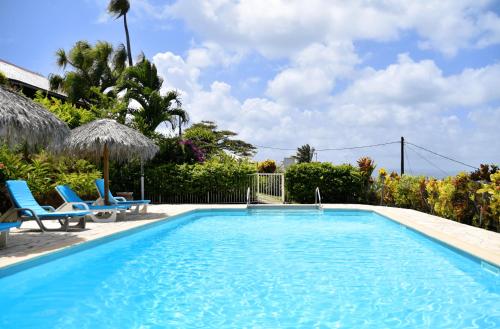 莱特鲁瓦西莱乐全景酒店的一个带两把椅子的游泳池,一个棕榈树