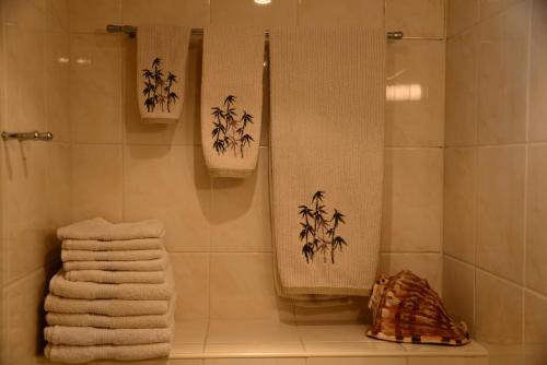 RenkumIt tunhuske的浴室提供白色毛巾和淋浴。