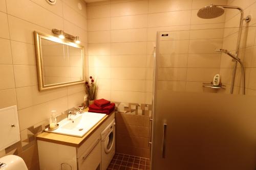 派尔努Akord Apartment Centrum的一间带水槽、镜子和淋浴的浴室