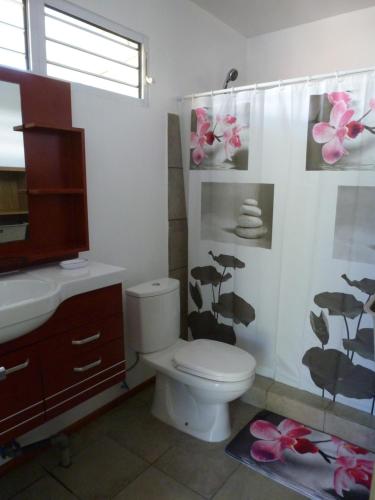 阿瓦托鲁Farehani 2的一间带卫生间和水槽的浴室