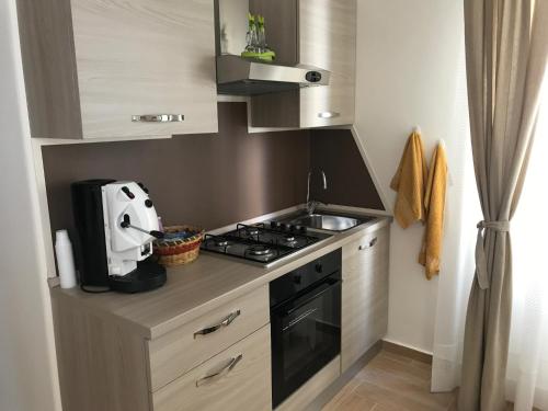 卡塔尼亚Holiday In Home | Le Ciminiere的小厨房配有炉灶和水槽