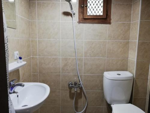 番红花城图尔古特雷斯考纳科酒店的带淋浴、卫生间和盥洗盆的浴室