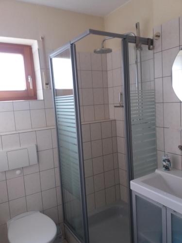 Herdwangen-SchönachSilvi的带淋浴、卫生间和盥洗盆的浴室