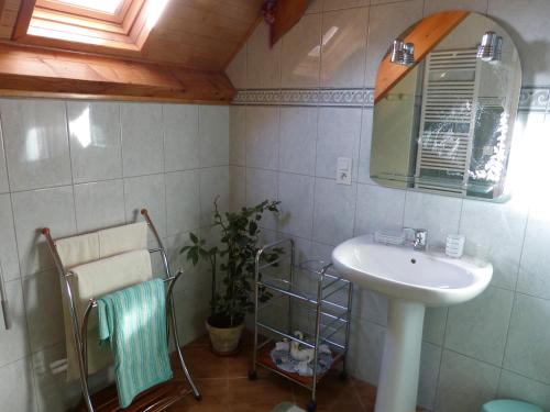 La Barthe-de-Neste乐普隆达特住宿加早餐旅馆的一间带水槽和镜子的浴室