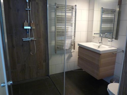 阿尔梅勒Bij Paul in Almere的带淋浴、盥洗盆和卫生间的浴室