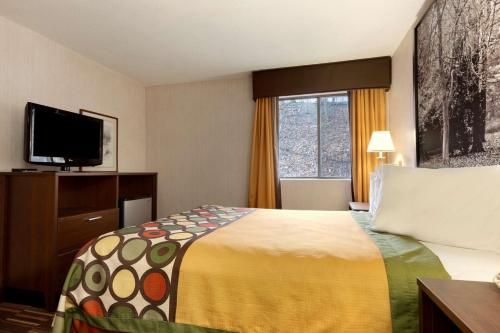 斯普林菲尔德Riverdale Inn的配有一张床和一台平面电视的酒店客房