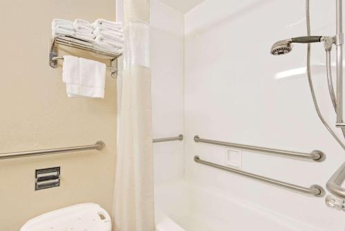华盛顿戴斯华盛顿酒店的带淋浴和卫生间的浴室