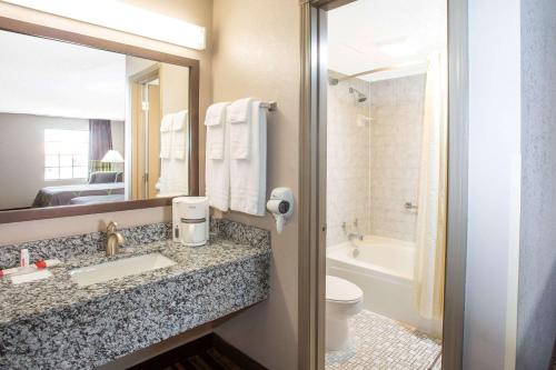 斯普林代尔斯普林戴尔速8汽车旅馆的一间带水槽、卫生间和镜子的浴室