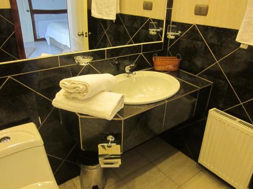 瓦尔迪维亚恩肯托德尔德里奥酒店的一间带水槽和卫生间的浴室