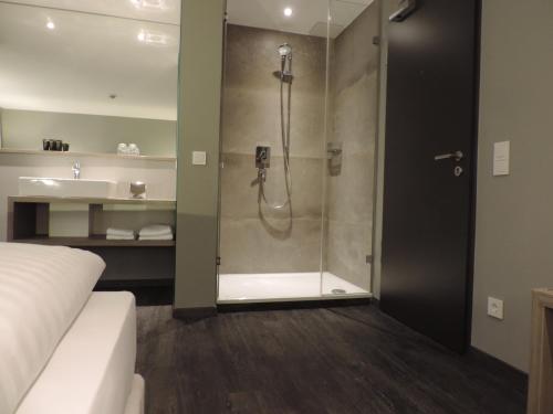 巴特伊堡祖姆杜瑞贝格酒店的带淋浴的浴室和玻璃门