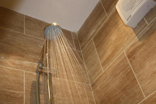 切斯特菲尔德双橡木酒店的浴室内配有淋浴和头顶淋浴