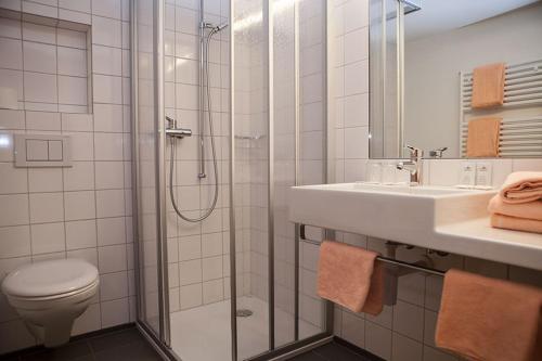 HembergGasthaus Löwen的带淋浴、卫生间和盥洗盆的浴室