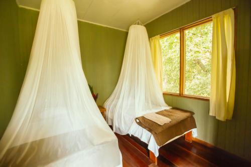 MatinaCasa Grande at Pacuare Reserve的绿色客房的两张床,设有窗户