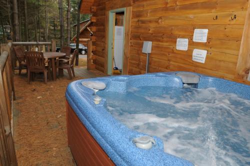BeaverThe Cabins at Pine Haven - Beckley的小木屋内的按摩浴缸