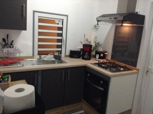 Ravine SècheLe Bégonia的厨房配有水槽和炉灶 顶部烤箱