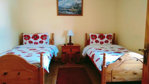 沃特福德Grannagh Castle House的一间卧室配有两张床和一张带台灯的桌子