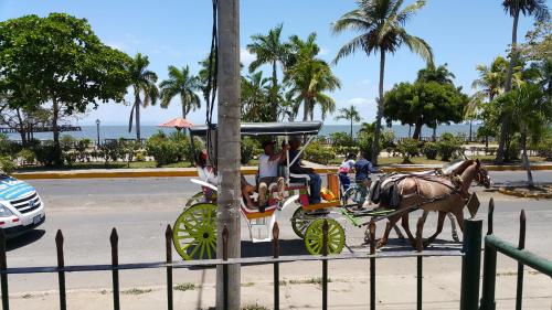 格拉纳达艾马耳他酒店的一条棕榈树街道上的马车