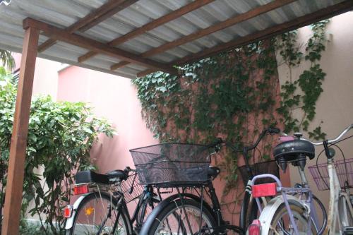 格拉多Villa Giulia的两辆自行车停在藤蔓墙边