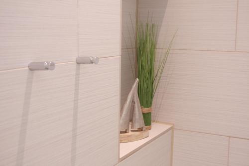 莱比锡思乐迪奥公寓的玻璃淋浴间,架子上装有植物