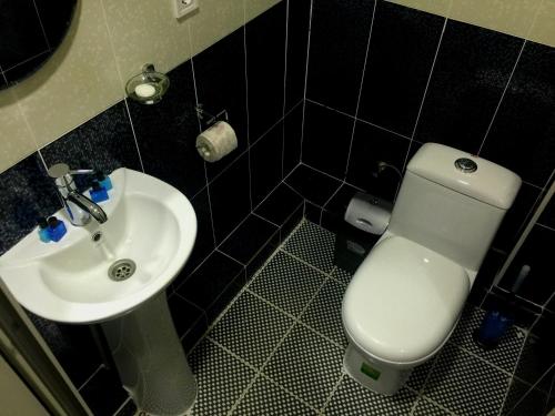 KhorogZarya Hotel的浴室配有白色卫生间和盥洗盆。