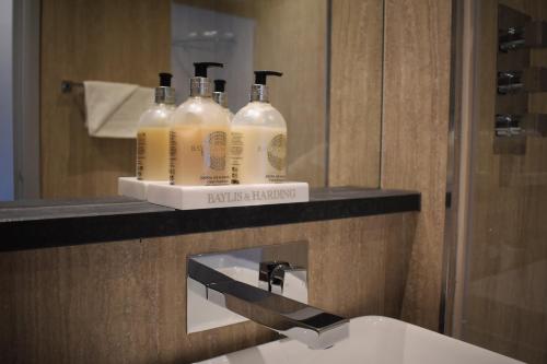 伊舍森堂公园酒店的浴室设有2瓶带肥皂的盥洗盆