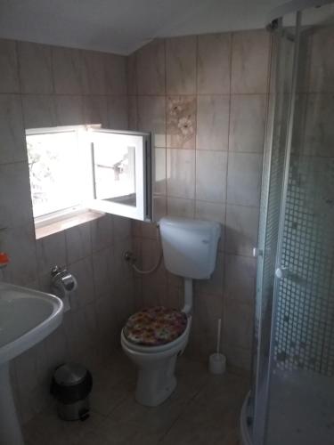 巴亚德菲耶尔Pensiunea Magura的浴室设有卫生间,座位上备有比萨饼