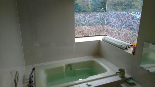 阿苏市Guesthouse Taihei的带浴缸的浴室和窗户