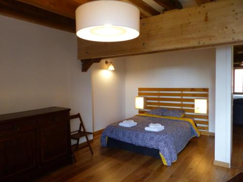圣艾尼昂La chambre d'Eloi, appart à 5mndu zoo de Beauval- 2e étage的一间卧室配有一张带蓝色棉被的床