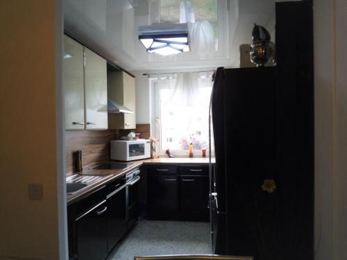 汉诺威拉特泽私人公寓的厨房配有黑色冰箱和窗户。
