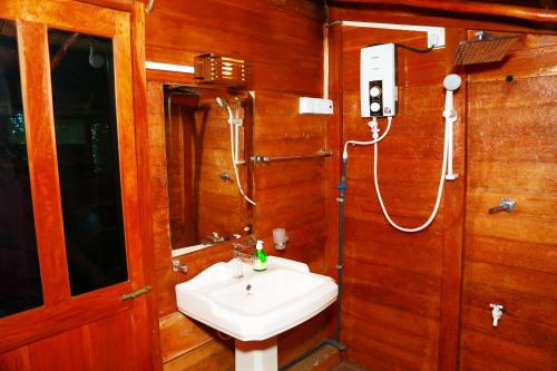 蒂瑟默哈拉默湖畔别墅度假村的一间带水槽和淋浴的浴室