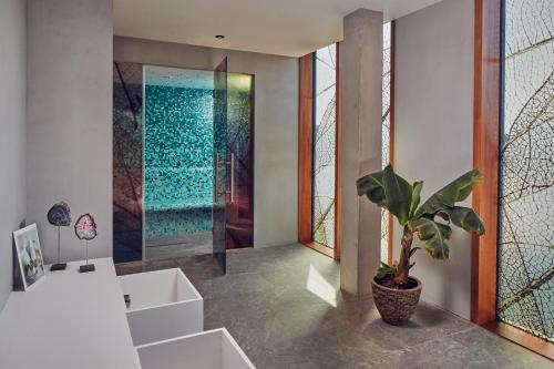 阿姆斯特丹阿姆斯特丹雅加塔酒店的带淋浴和盆栽的浴室