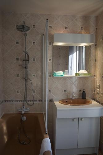 BeauzacChambres et table d’hôtes le Barret的浴室配有水槽和带淋浴的淋浴。