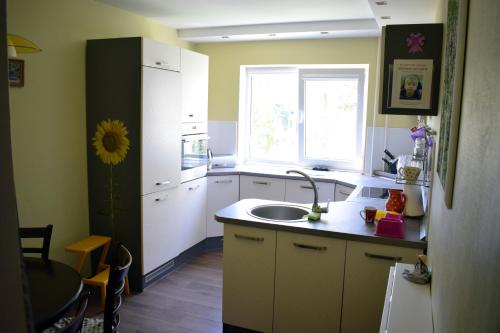 维萨吉纳斯Butterfly Apartment的厨房设有水槽和窗户。