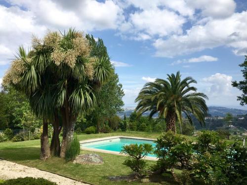 费尔盖拉什Casal do Arcebispado的一座游泳池,位于两棵棕榈树的庭院内