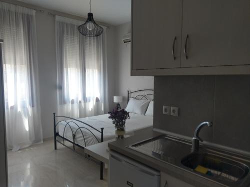 Áyios AndóniosProkymaia Apartment 2的一间卧室配有一张床,厨房配有水槽