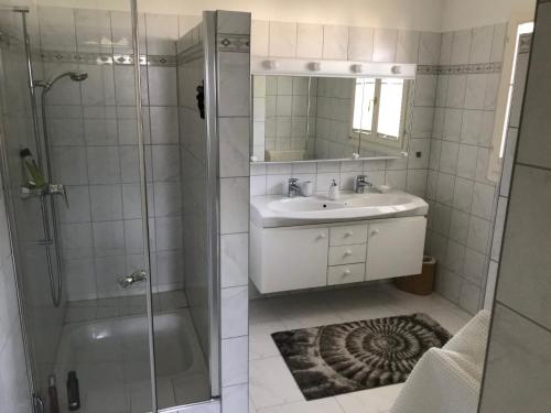 GambarognoCasa al Castagno的带淋浴、盥洗盆和镜子的浴室