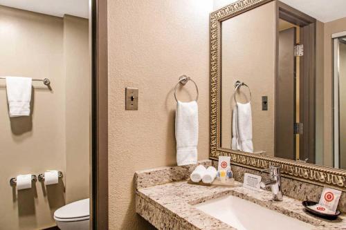 上马尔伯勒Comfort Inn Largo-Washington DC East的一间带水槽、镜子和卫生间的浴室