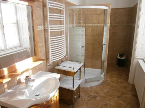 Sitke希特凯城堡旅馆的一间带水槽和淋浴的浴室