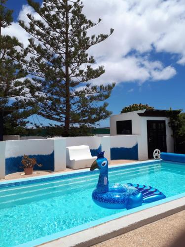 塔伊切Casa Albryna Lanzarote Rural Villa, Pool Wifi的水中一个有蓝色橡皮鸭的游泳池